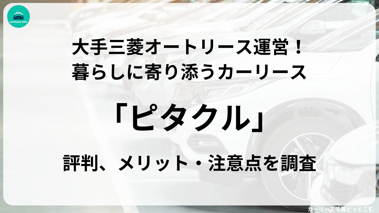 ピタクルの評判