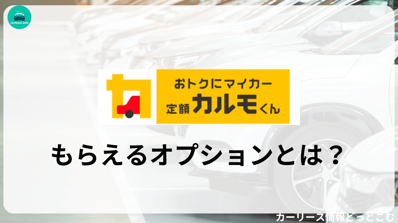 カルモくんのもらえるオプションとは